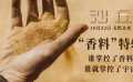 《沙丘》香料特辑
