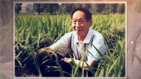 《我们的旗帜》第二十集：《闪耀》