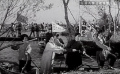 《枯木逢春》一定要消滅血吸蟲病