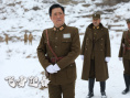 飞雪迎春
