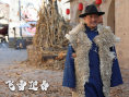 飞雪迎春