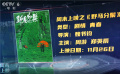 周末上映：《野馬分鬃》勇敢追尋自由夢(mèng)想 《銀行家》逆流改命