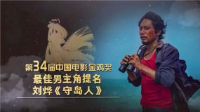 特别策划：巡礼第34届中国电影金鸡奖提名之最佳男主角
