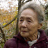 中國母親尋找日本養(yǎng)女，《又見奈良》定檔