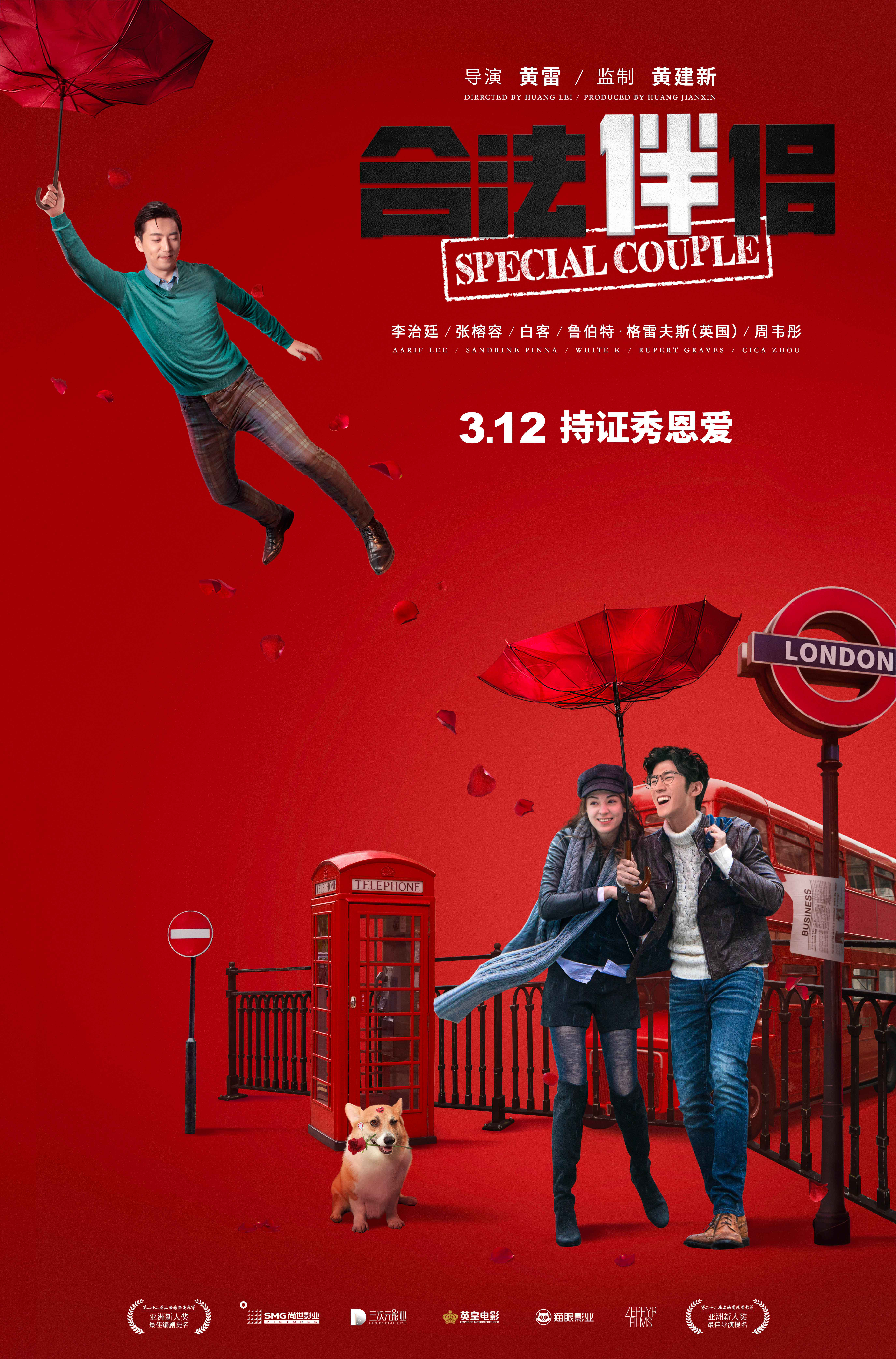 张榕容电影《合法伴侣》海报