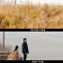 在影视作品中，看见“乡土中国”新变迁