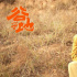 李東學林妙可首度合作《谷子地》今日公映 四大看點獻禮建黨100周年