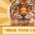 深扒影視劇動(dòng)物演員幕后事
