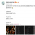 非把她逼疯成这样？！