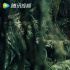 八月待播剧神仙打架， 系列IP大杂烩，鬼吹灯和灵魂摆渡都来凑热闹
