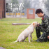 《忠犬流浪记》：有没有那么一条狗，默默流泪不肯走