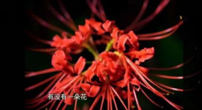 抖音迎來(lái)倍速播放，快節(jié)奏下的創(chuàng)作困境與破局（2349期）