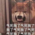 又燃又真實(shí)，這才是靠譜職場紀(jì)錄片！