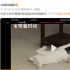2.8分，年度第一恶臭丑闻，还等反转呐？