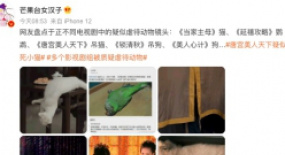 于正《當(dāng)家主母》陷入虐貓“羅生門”：當(dāng)影視劇遇上“動物保護主義”？
