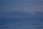 1月24日，演员赵露思在个人社交平台分享了一组海边光影氛围感大片。照片中，赵露思身穿黑色吊带裙，露出香肩美背，清纯又不失性感。