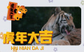 虎年临近 活泼可爱的小动物们给大家拜大年啦！