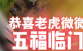 “虎”氣滿滿！虎媽媽微微順利誕下5只虎寶寶