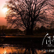 你是我的一束光