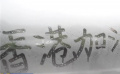 《中国电影报道》20220224