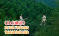 《卧虎藏龙》两大剑客对决，竹林剑法，满足各位武侠梦