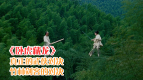 《臥虎藏龍》兩大劍客對決，竹林劍法，滿足各位武俠夢