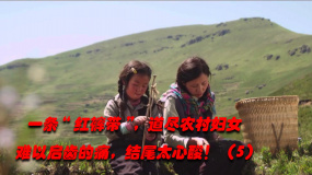 一條“紅褲帶”道盡農(nóng)村留守婦女難以啟齒的痛 結(jié)尾太心酸?。ㄎ澹?>
                        <div   id=
