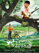 树上有个好地方