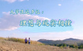 大學(xué)生返鄉(xiāng)記：理想與現(xiàn)實(shí)相撞