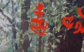 《毒吻》01小伙自帶劇毒 每逢打雷毒性大增