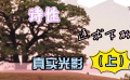 《无问西东》：诗性追求下的“真实”光影（上）
