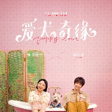 愛犬奇緣