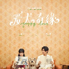 愛犬奇緣