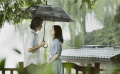 《柳浪聞鶯》：輾轉(zhuǎn)浮沉 終仍是你
