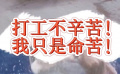 《来的都是客》打工不辛苦，我只是命苦！