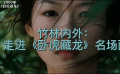 《卧虎藏龙》名场面-竹林内外