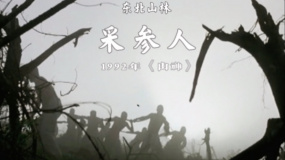 《山神》帶你揭開東北山林里采參人的神秘面紗