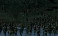 大決戰(zhàn)之平津戰(zhàn)役：冰天雪地解放軍光腳渡河，這精神令人敬佩