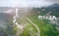 《你是我的春天》发布联合短片 寻找希望的力量