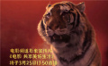 揭秘電影頻道宣傳片人物表演幕后 專訪《“煉”愛》導(dǎo)演董雪瑩