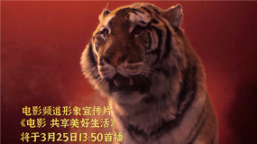 揭秘電影頻道宣傳片人物表演幕后 專訪《“煉”愛》導演董雪瑩