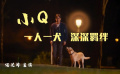 一人一犬  深深羈絆