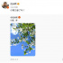 岳云鵬：你看見(jiàn)春了嗎？ 網(wǎng)友：你看見(jiàn)餃子了嗎？