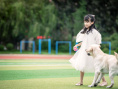 我和萌犬的夏天