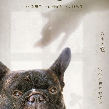 我沒有恐犬癥