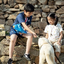 我和萌犬的夏天