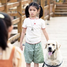 我和萌犬的夏天