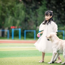 我和萌犬的夏天
