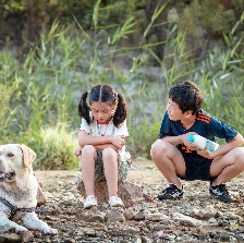 我和萌犬的夏天