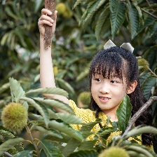 我和萌犬的夏天